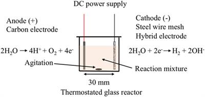 Electro-Catalytic Biodiesel Production from Canola Oil in Methanolic and Ethanolic Solutions with Low-Cost Stainless Steel and Hybrid Ion-Exchange Resin Grafted Electrodes